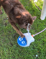 Splash Water Fountain