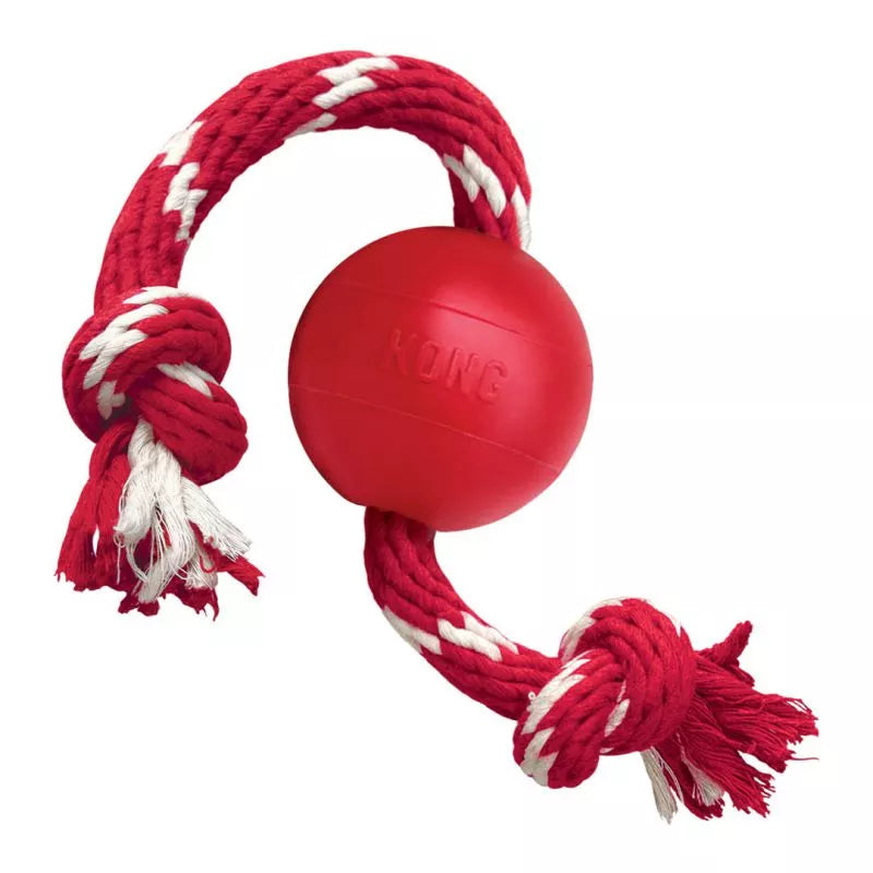 Kong Ball mit Seil